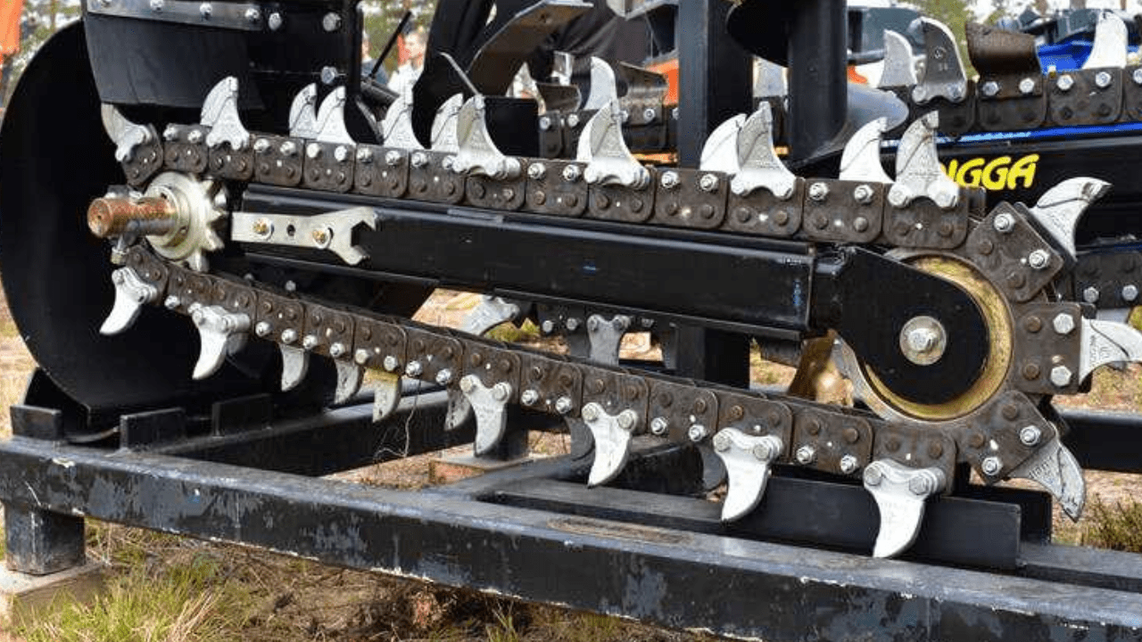 What are the Primary uses of Trencher's teeth to consider?