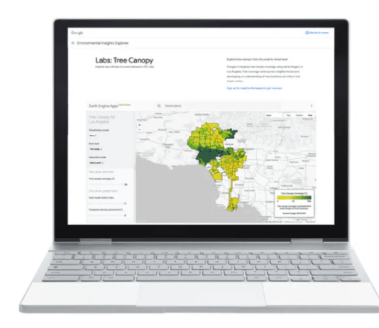 Google Maps is making it easier to see wildfires and tree coverage